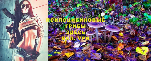 молекула духа Ханты-Мансийск