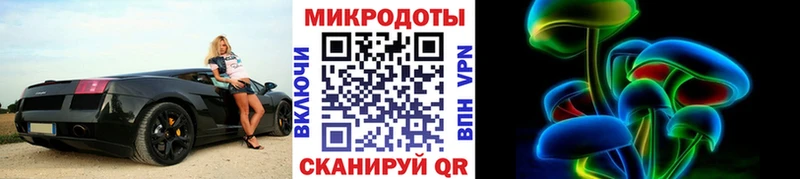 Галлюциногенные грибы MAGIC MUSHROOMS  закладки  Заволжск 